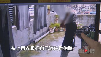 干部出轨他人妻，打人后竟还想继续任职？太离谱！