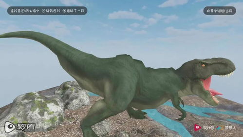 抖音一美迅猛龙：从颜值赛道转型学霸之路