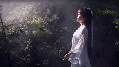 李子柒没瞧见吴京，张译暖心拉她让位背后的趣事