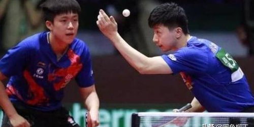 张本被判遮挡裁判？深入探究是否存在双标现象