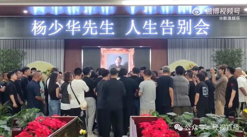 杨少华生前竟遭儿子如此对待？真相令人唏嘘！
