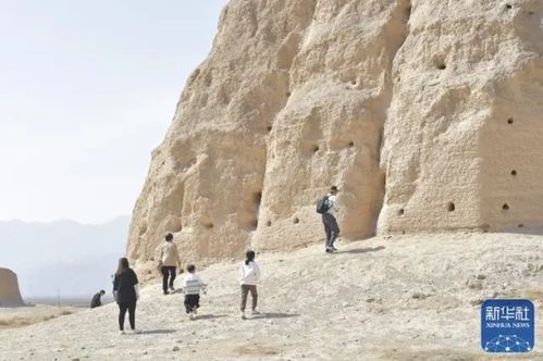 西夏陵申遗成功，列入《世界遗产名录》，背后故事引人深思