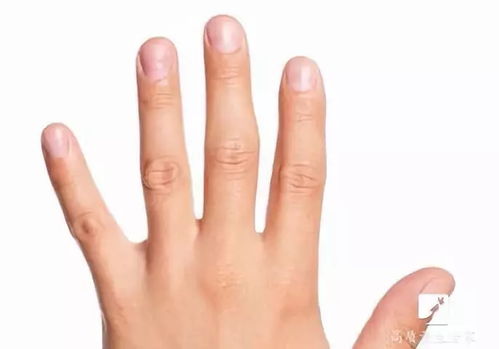 做美甲还是不做？看她们为何集体沉默！