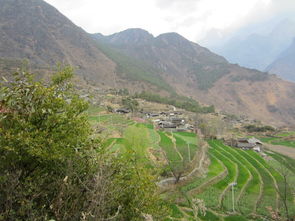 微博vlog大赛：记录生活，分享精彩！