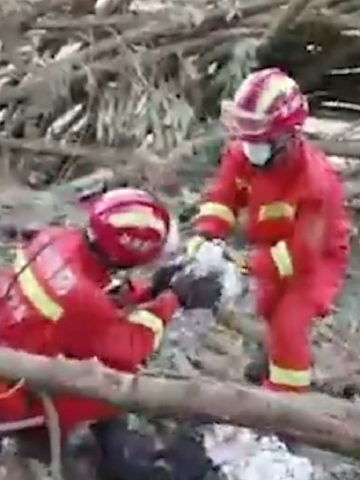 印度客机坠毁背后：飞行员操作成疑点