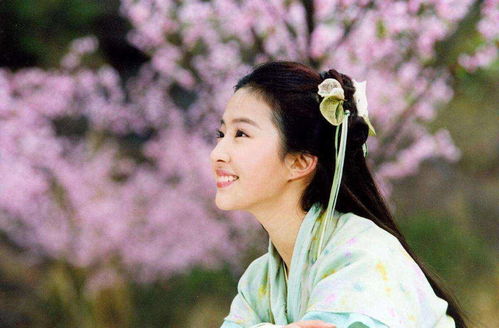 刘亦菲饰演赵灵儿剧照