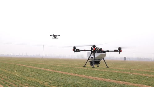 一架无人机正在田间进行农业植保工作