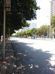 多地防暑降温举措：为生产生活保驾护航