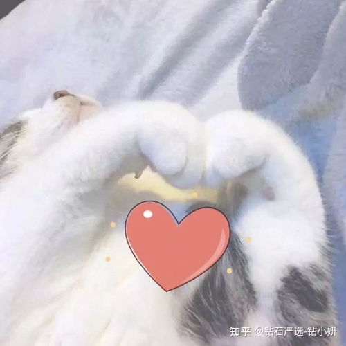 土味情话上头！一天不听就浑身难受？