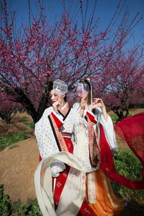 《桃花映江山》大结局：一场爱恨情仇的终章