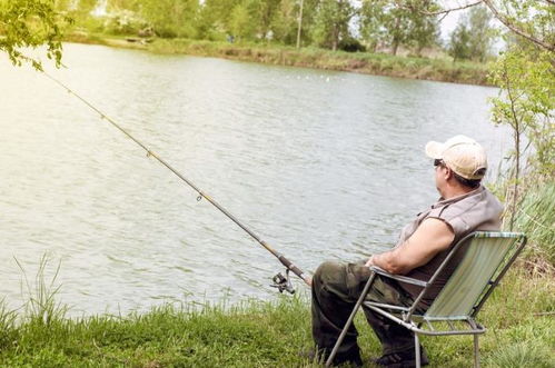 76岁‘巧克力’大爷直播钓鱼，超50年钓龄引万人围观