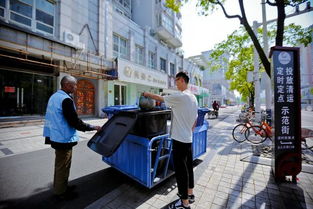 中国垃圾竟成香饽饽？背后真相令人咋舌！