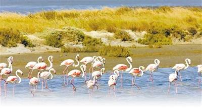 应对经费压缩极限，单位该如何继续过紧日子？