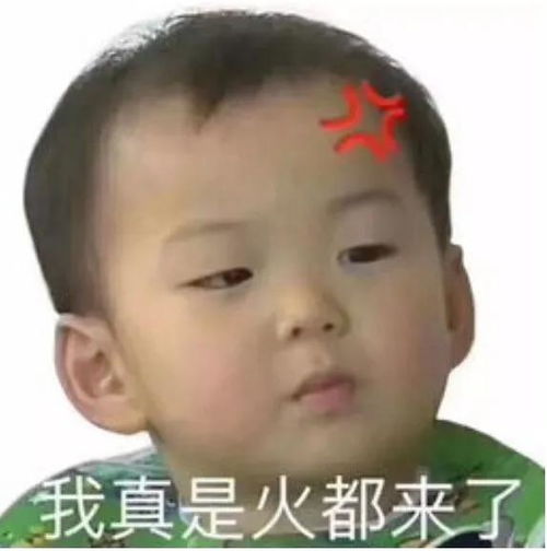 愤怒的网友表情包