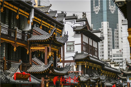 我的大观园：影视IP助力城市文旅消费破1.2亿！