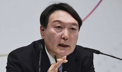 尹锡悦被指控的相关文件片段