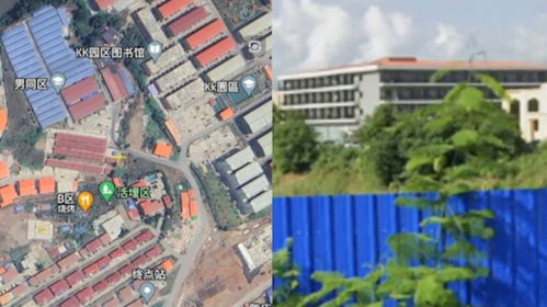 缅北白家：41个赌诈园区背后的罪恶帝国