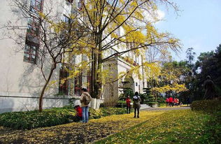 清北高材生涌向香港保险业，收入超200万背后真相