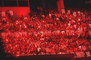 粉丝举着灯牌应援的照片