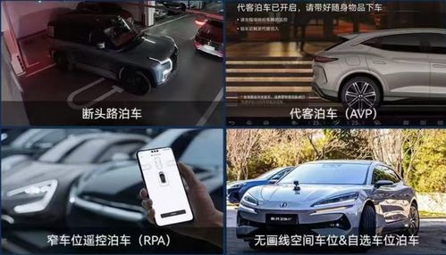 比亚迪智能泊车大突破！安全兜底超给力