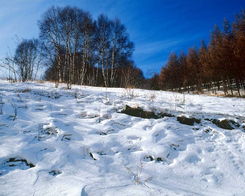 崇礼美丽的雪景
