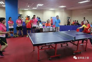 WTT商业赛：新人需更多机会崭露头角