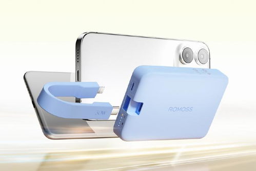 罗马仕充电宝内幕大揭秘！老板深度参与只为毛利？