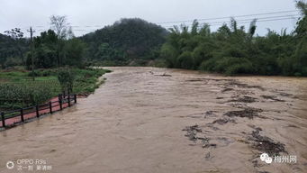 怎样看懂防汛高频词？一文给你讲透彻！