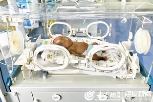 加沙惨状：4个婴儿挤一个保温箱背后的悲歌