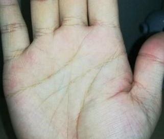 希望通过对话解决问题