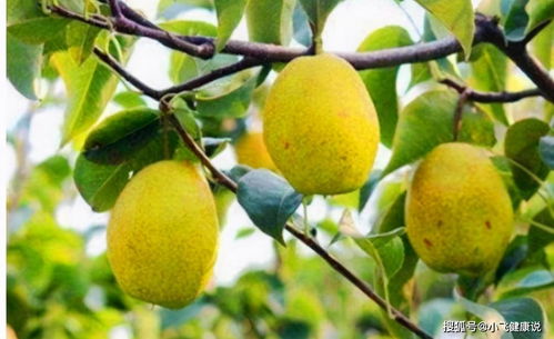 那些消失的小吃水果，承载着童年的回忆