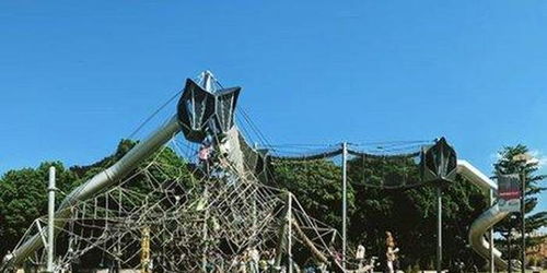 游客被挂游乐设施获赔10万？别信！这是谣言！