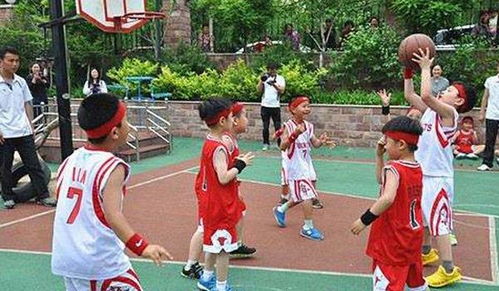 杨瀚森的球风能否适应NBA？