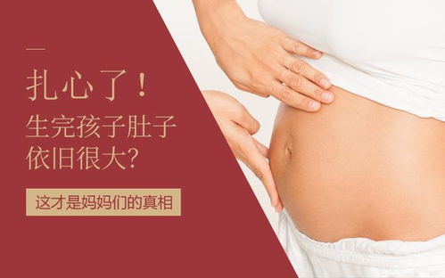 产后妈妈腹部状态