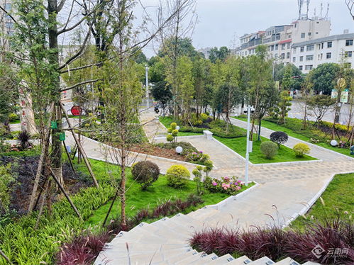 绿树环绕的优美城市街道