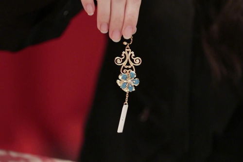 黄杨某甜‘天价耳环’背后：雅安市联合工作组深入调查始末