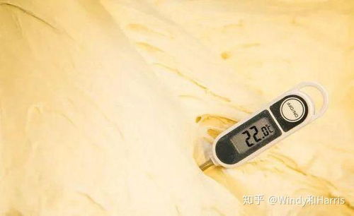 震惊！记者实测郑州路面温度竟达85℃，河南多地高温超40℃