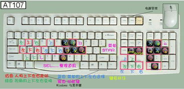 重庆暴雨死亡人数谣言被戳破，背后真相令人深思