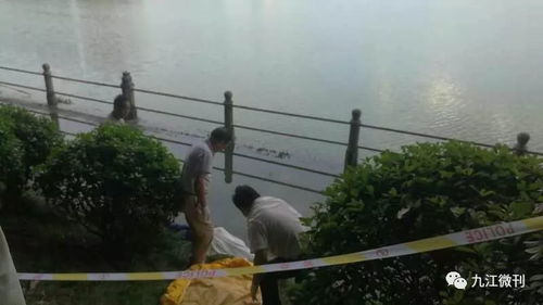 17岁中国学生日本溺亡惨剧，44处伤痕背后真相大揭秘！