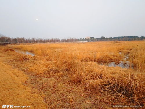 未来一周热浪滚滚，高温预警拉响！