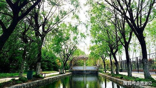 父母代签清华录取通知书，那一刻哭得令人心疼