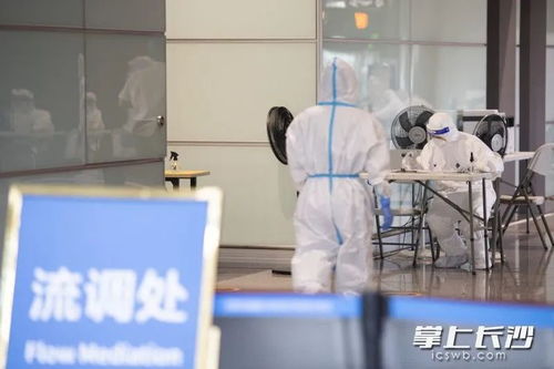 官方公布黄杨某甜‘天价耳环’事件调查结果，真相令人震惊！