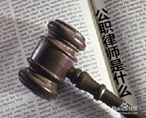 律师正在分析案件