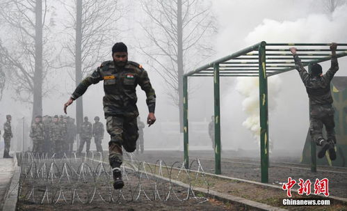 中塞两军首度联训，‘和平卫士 -2025’意义非凡！