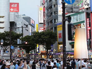 以历史深度洞察当下——中央城市工作会议侧记