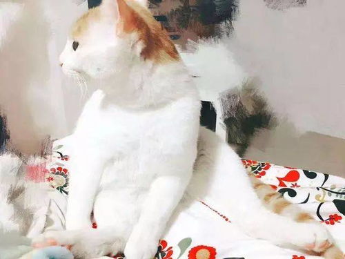 24小时内！7月最强促销，淘宝京东狂撒福利