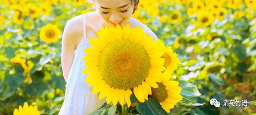 充满希望的人生道路