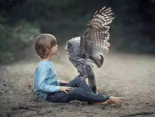 人与自然和谐相处的画面