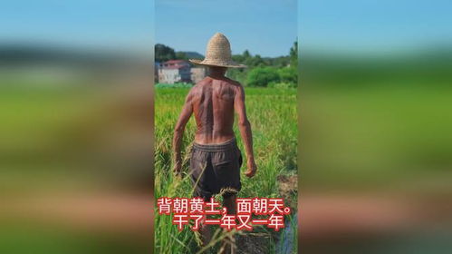 阳光下的人们汗流浃背