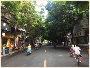 全国最热前十川渝独占7席！高温下的川渝生活实录